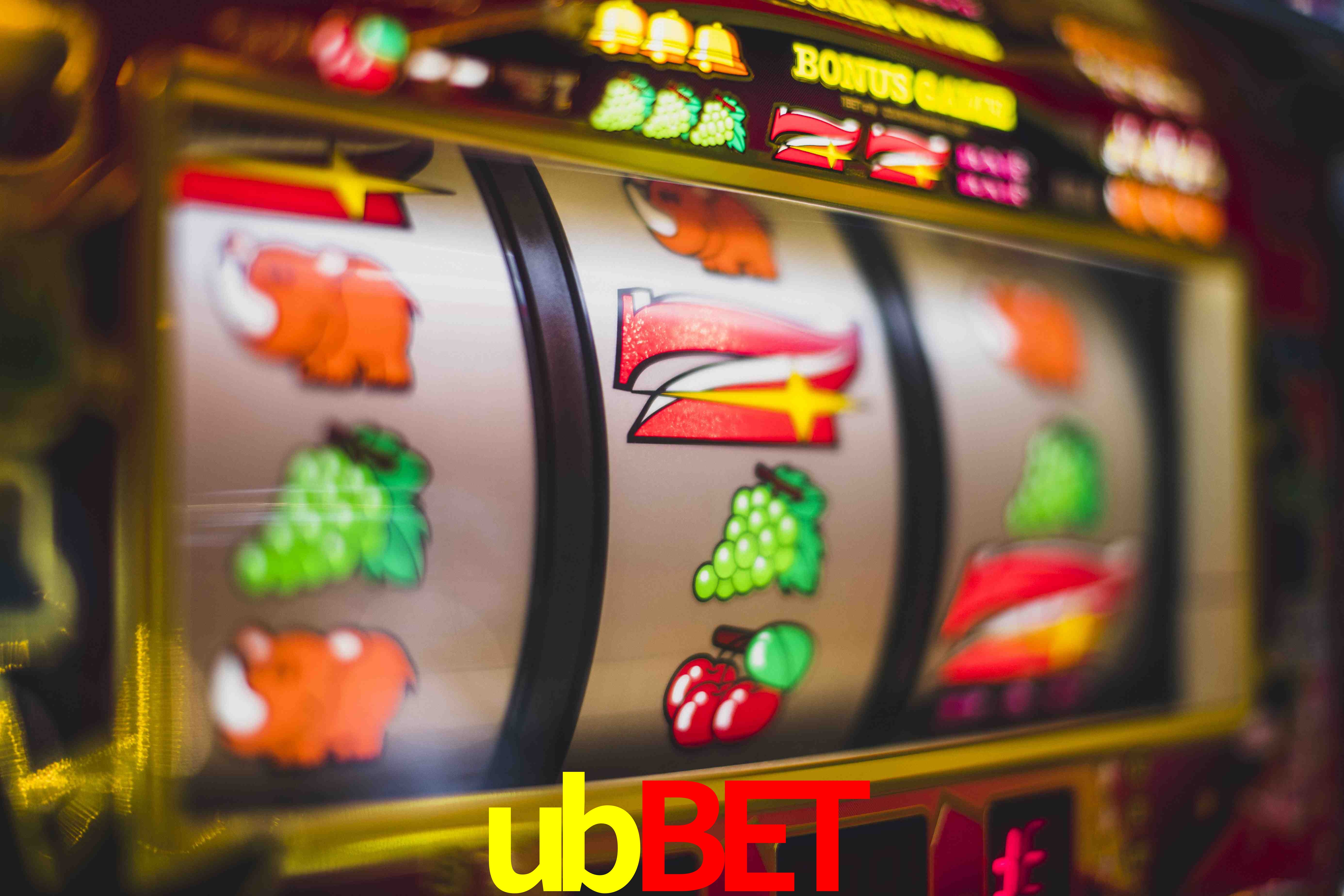 Sports Statistics ubbet